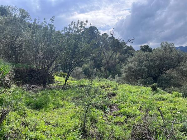 Terreno en Del Poligono, km 12