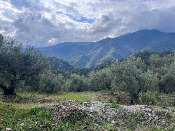 Terreno en Del Poligono, km 12