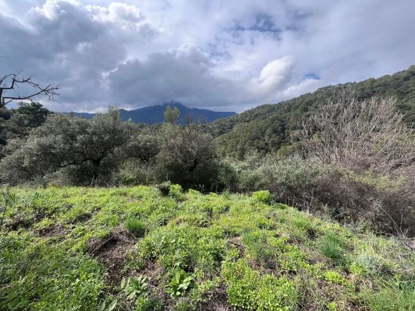 Terreno en Del Poligono, km 12