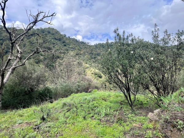 Terreno en Del Poligono, km 12