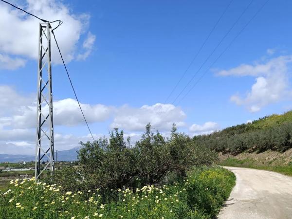 Terreno en camino de los Javieles