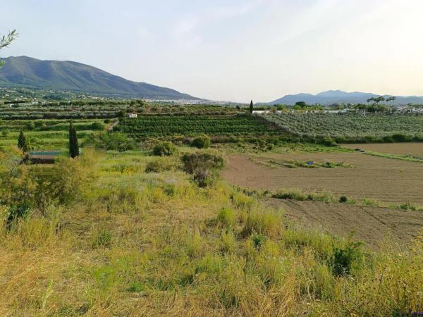 Terreno en camino de los Javieles