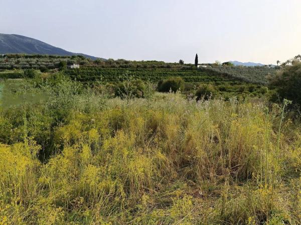 Terreno en camino de los Javieles