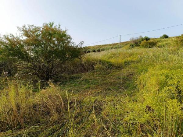 Terreno en camino de los Javieles