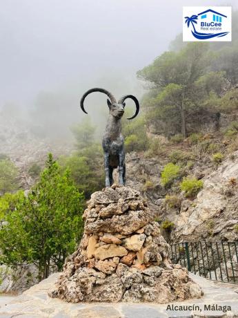Terreno en Urb. El Mirador de la Axarquia