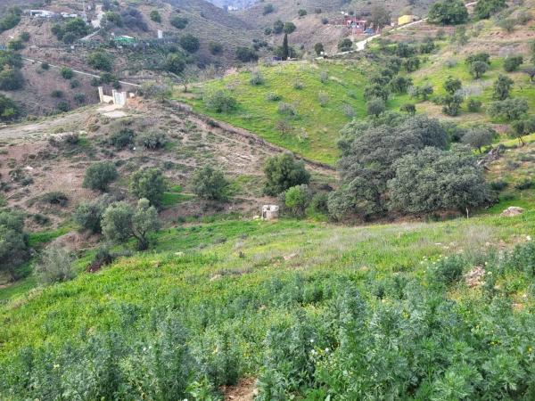 Terreno en camino de Los Alcabuceros
