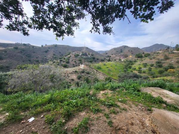 Terreno en camino de Los Alcabuceros
