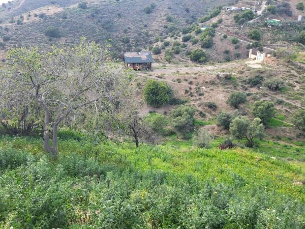 Terreno en camino de Los Alcabuceros