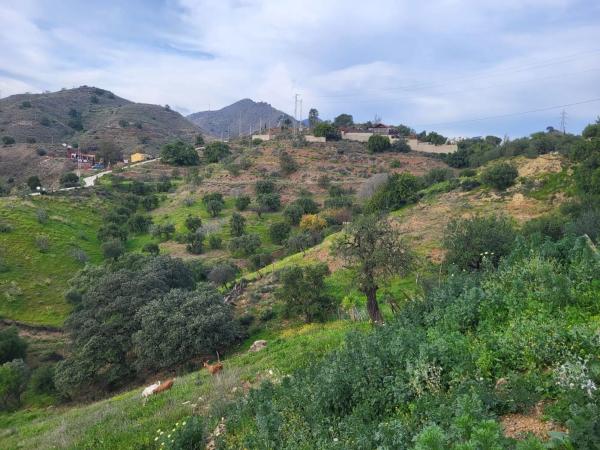 Terreno en camino de Los Alcabuceros