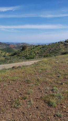 Terreno en camino las tres cruces s/n