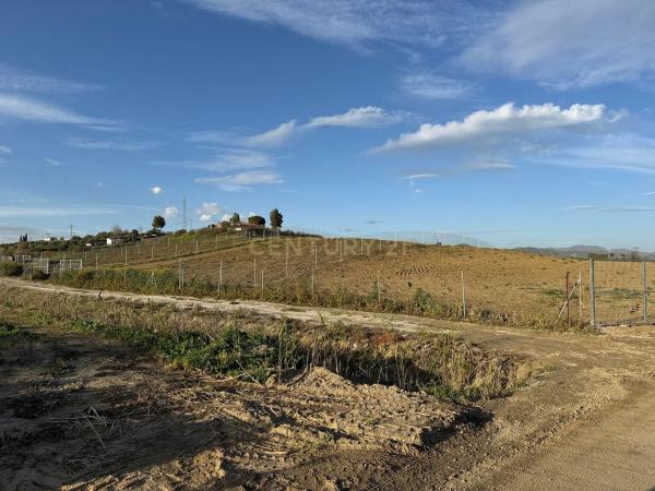 Terreno en Pista Carril de Puerto Rico