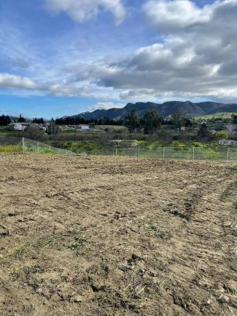 Terreno en Pista Carril de Puerto Rico