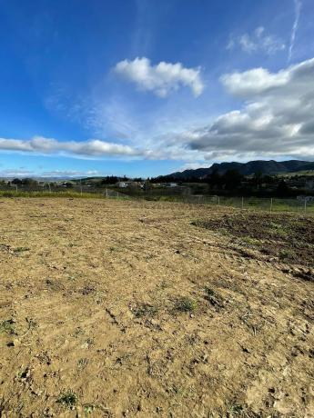 Terreno en Pista Carril de Puerto Rico