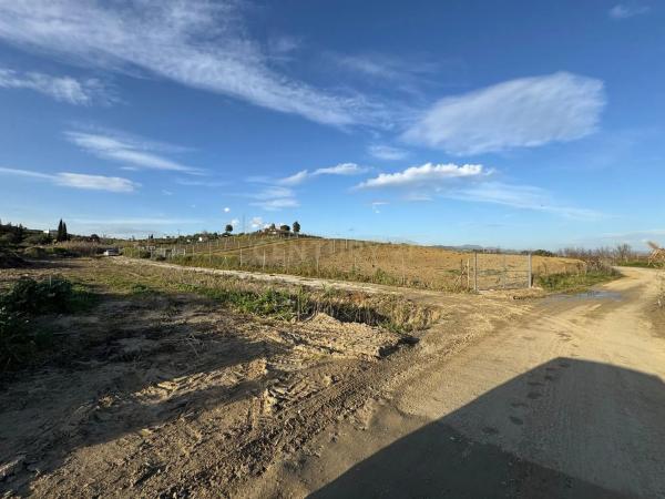 Terreno en Pista Carril de Puerto Rico
