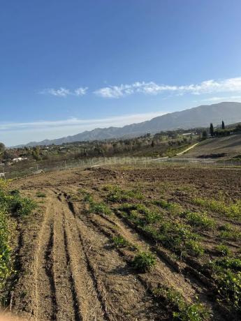 Terreno en Pista Carril de Puerto Rico