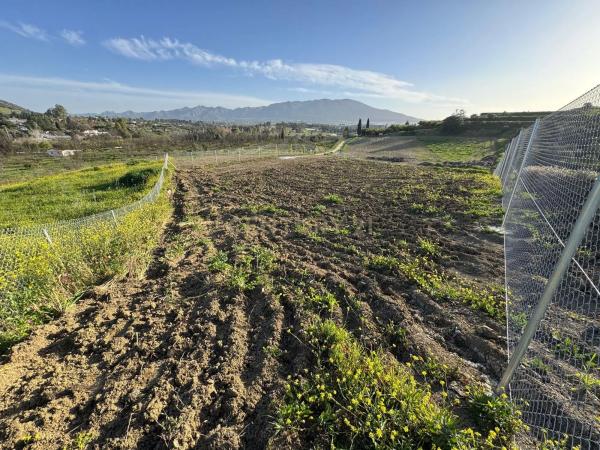 Terreno en Pista Carril de Puerto Rico