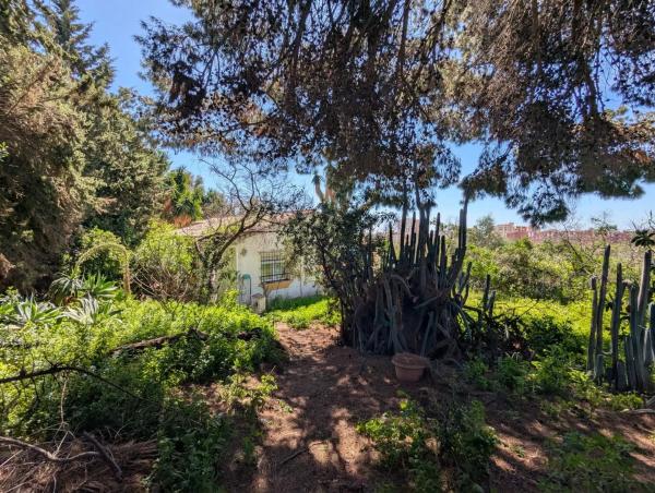 Terreno en Los Pacos