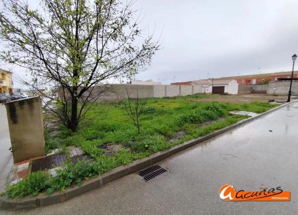 Terreno en calle Pilar Bardem