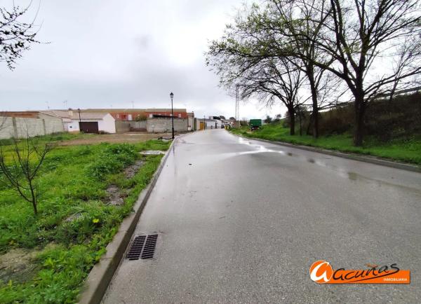 Terreno en calle Pilar Bardem