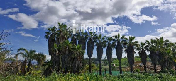 Terreno en El Romeral-Peñón de Zapata
