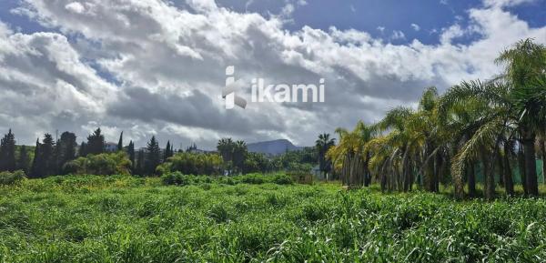 Terreno en El Romeral-Peñón de Zapata