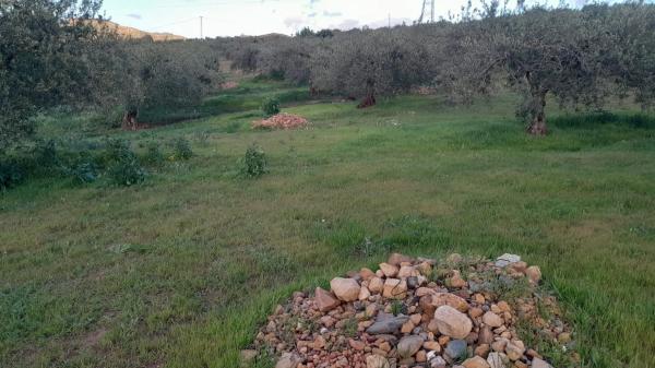 Terreno en Polígono La Molina s/n