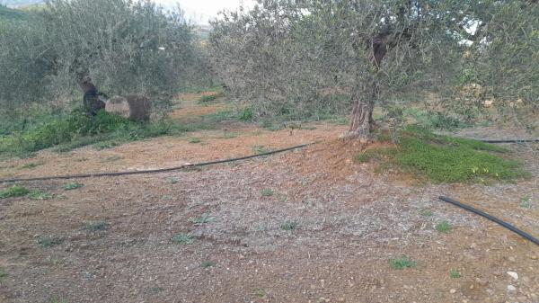 Terreno en Polígono La Molina s/n