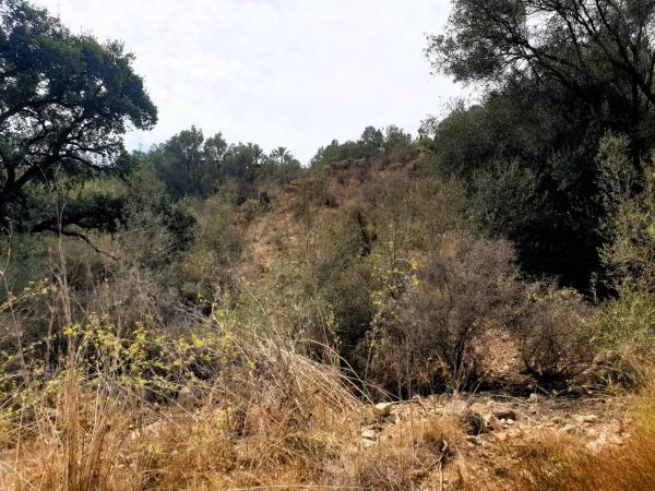 Terreno en Urbanización Marbella Hill Club, 10