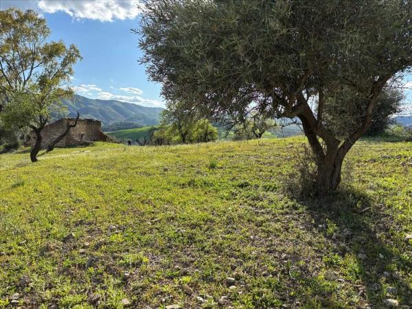 Terreno en Terreno Ue-11 Cm. Magiaza