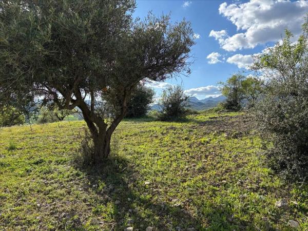 Terreno en Terreno Ue-11 Cm. Magiaza