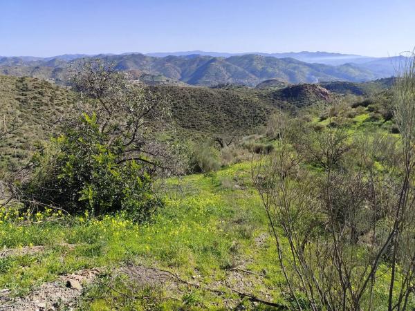 Terreno en Sin nombre s/n Sinnombre