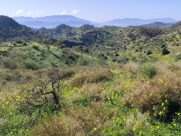 Terreno en Sin nombre s/n Sinnombre