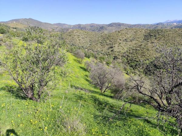 Terreno en Sin nombre s/n Sinnombre