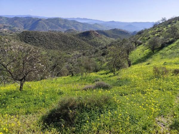 Terreno en Sin nombre s/n Sinnombre