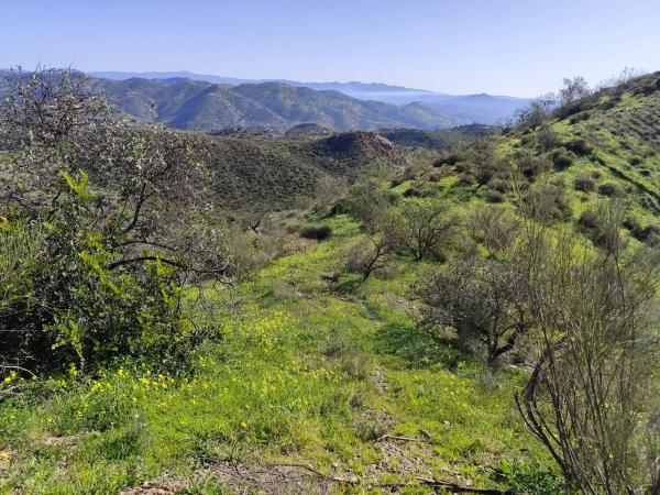 Terreno en Sin nombre s/n Sinnombre