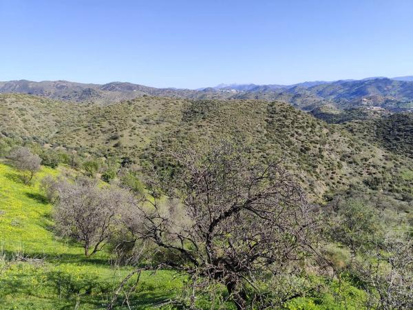 Terreno en Sin nombre s/n Sinnombre