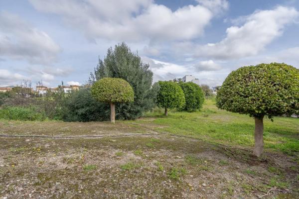 Terreno en Barrio La Concha-Resina Golf