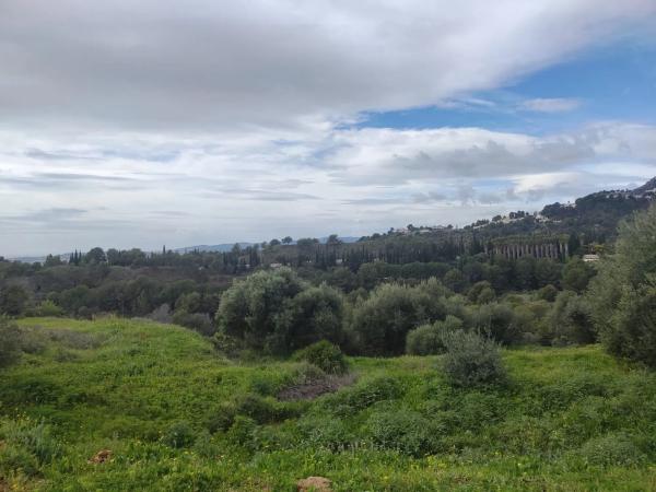 Terreno en calle Araucaria