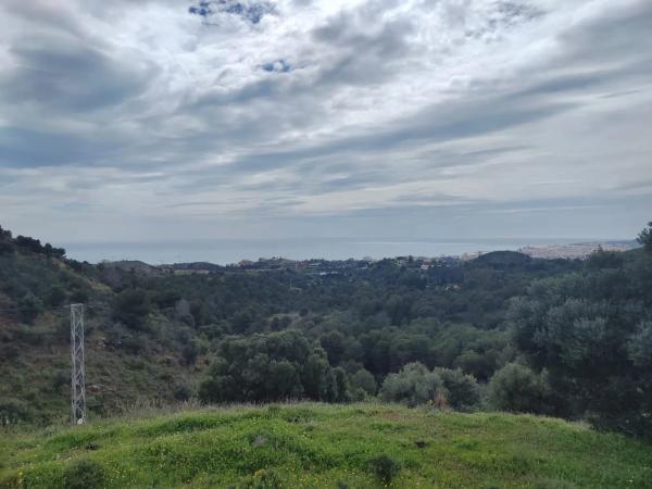 Terreno en calle Araucaria