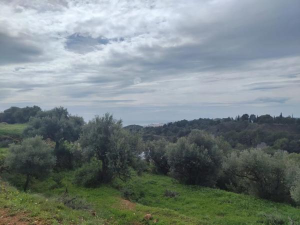 Terreno en calle Araucaria