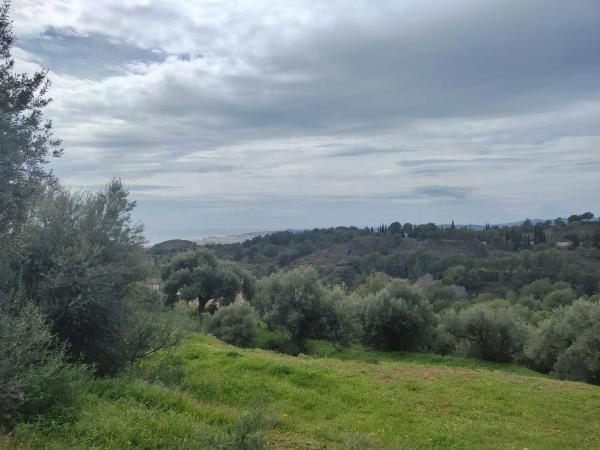 Terreno en calle Araucaria