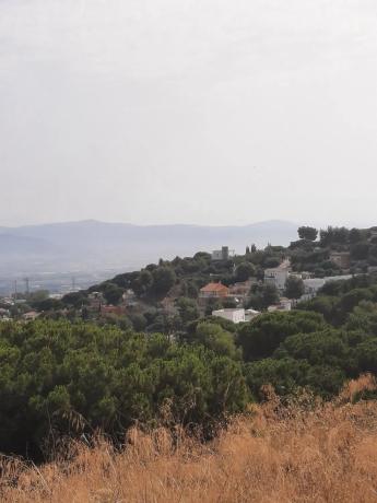 Terreno en Pinos de Alhaurín