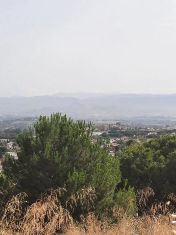 Terreno en Pinos de Alhaurín