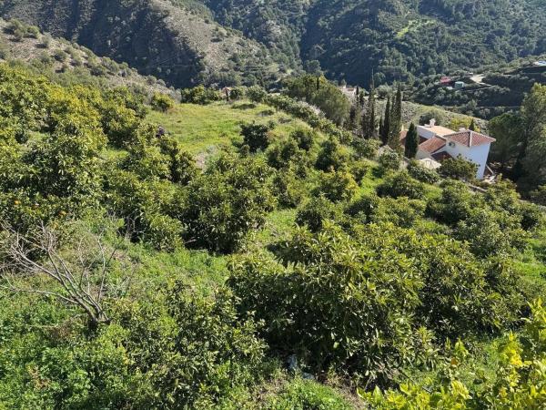 Terreno en avenida de Canillas