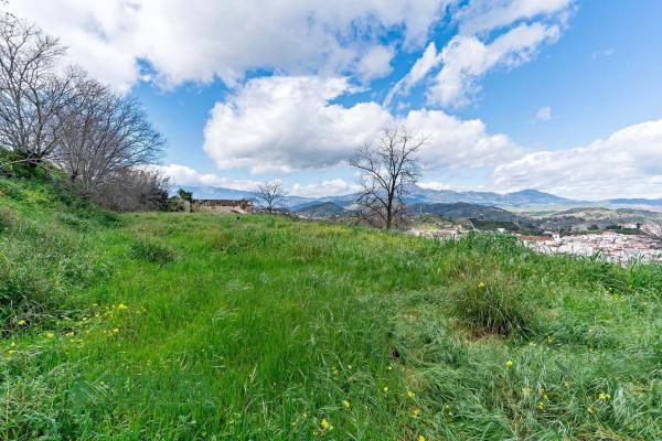 Terreno en cuesta de la reina
