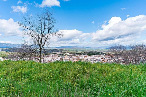 Terreno en cuesta de la reina