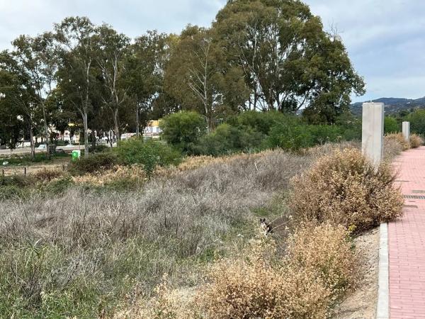 Terreno en calle Periana