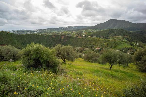 Terreno en carretera de la Cala a Entrerrios