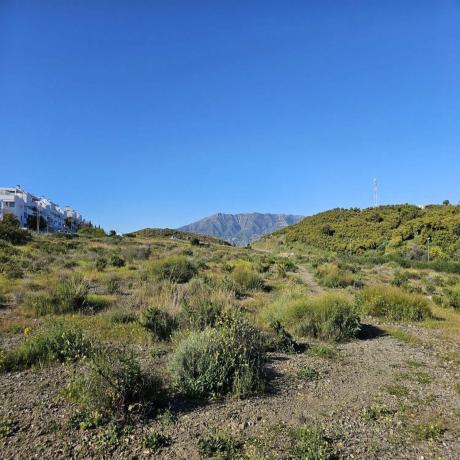 Terreno en calle Sierra de Grazalema