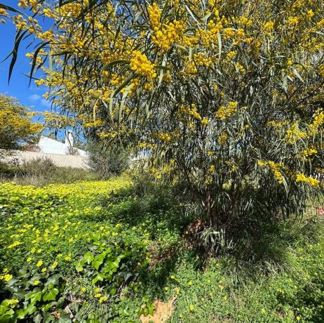 Terreno en avenida Alpandeire, 28